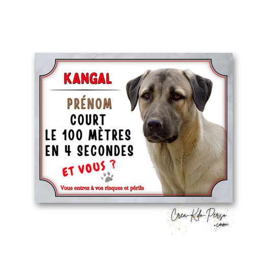Plaque Kangal je cours le 100 mètres Panneau de portail Attention au chien