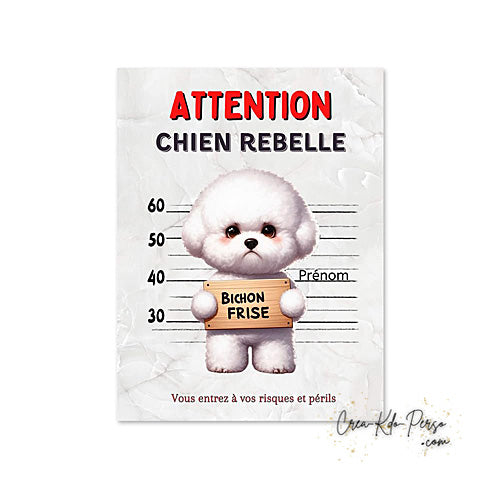 Plaque humour Attention Bichon Frisé rebelle prisonnier (Modèle1)