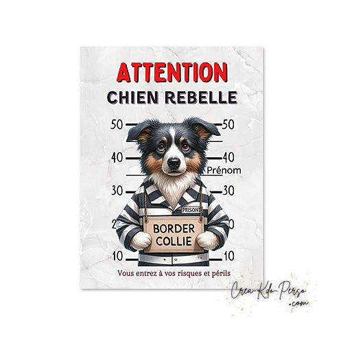 Plaque Border Collie Panneau de portail Attention au chien