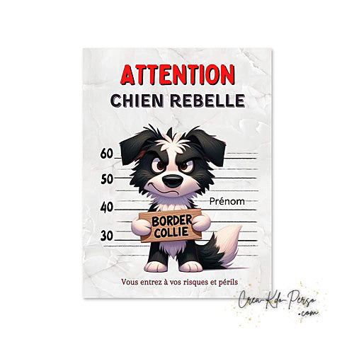 Plaque Border Collie Panneau de portail Attention au chien