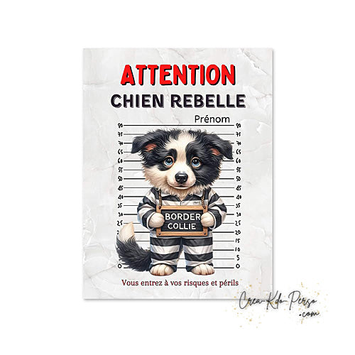 Plaque Border Collie Panneau de portail Attention au chien