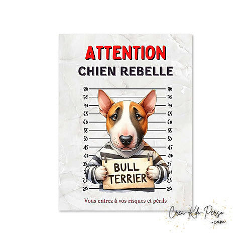 Plaque humour Attention Bull Terrier prisonnier (Modèle1)