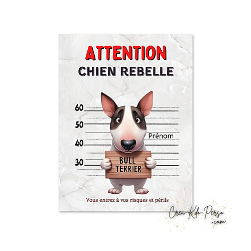 Plaque humour Attention Bull Terrier prisonnier (Modèle2)