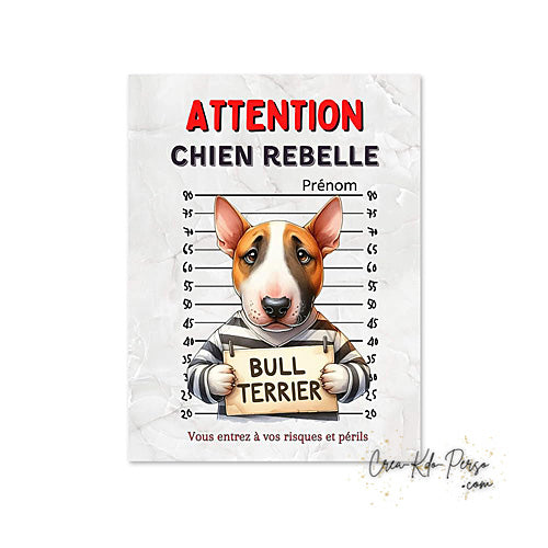 Plaque humour Attention Bull Terrier prisonnier (Modèle1)
