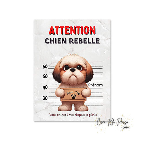 Plaque humour Attention Shih Tzu rebelle prisonnier (Modèle1)