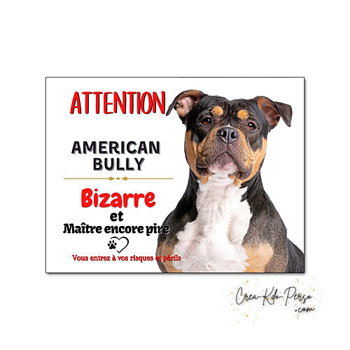 Plaque humour Attention au Chien American Bully bizarre le maître est pire