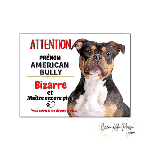 Plaque humour Attention au Chien American Bully bizarre le maître est pire