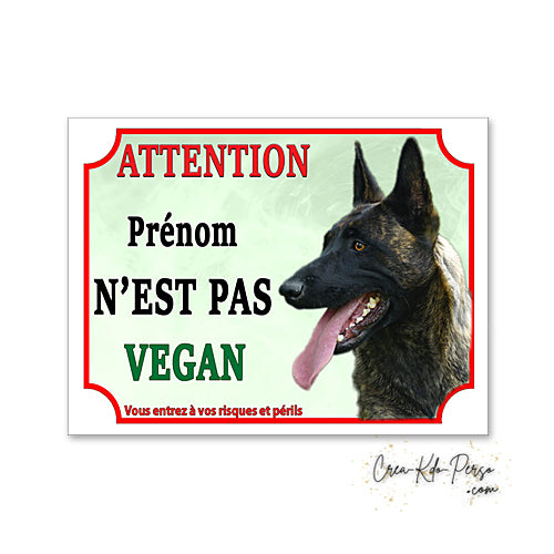Plaque humour Attention Chien Berger Hollandais je ne suis pas végan