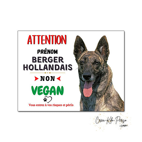 Plaque humour Attention Chien race Berger Hollandais je ne suis pas végan
