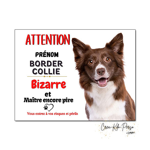Plaque Border Collie Panneau de portail Attention au chien