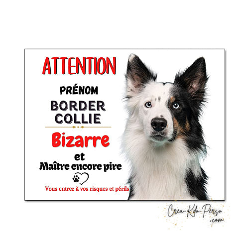 Plaque Border Collie Panneau de portail Attention au chien