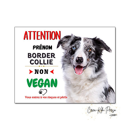 Plaque Border Collie Panneau de portail Attention au chien