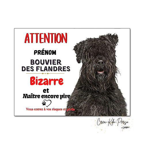 Plaque humour Attention au Chien Bouvier des Flandres Bizarre