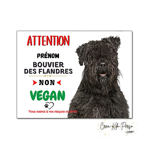 Plaque humour Attention Chien Bouvier des Flandres je ne suis pas végan