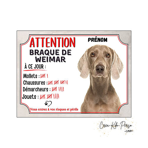 Plaque humour Attention Chien race Braque de Weimar compte ses trophées à ce jour