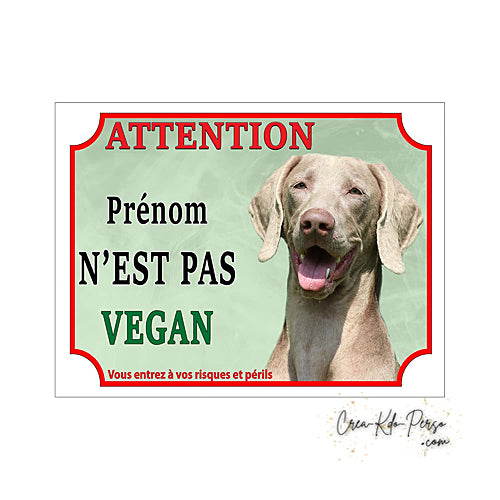 Plaque humour Attention race Chien Braque de Weimar je ne suis pas végan