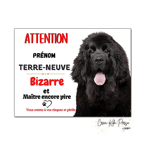 Plaque humour Attention au Chien Terre Neuve noir Bizarre