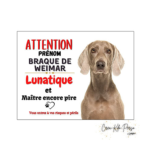 Plaque humour Attention au Chien race Braque de Weimar lunatique
