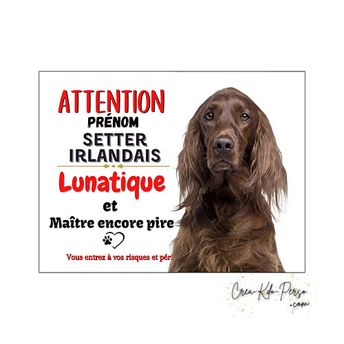 Plaque de portail setter irlandais Attention au chien panneau je monte la garde