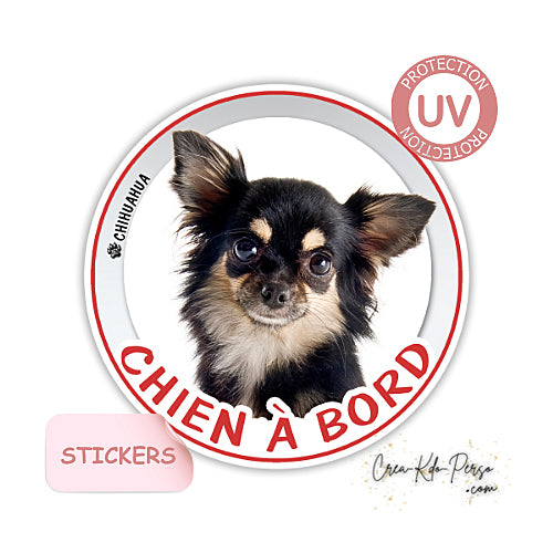 sticker chien à bord autocollant voiture chihuahua