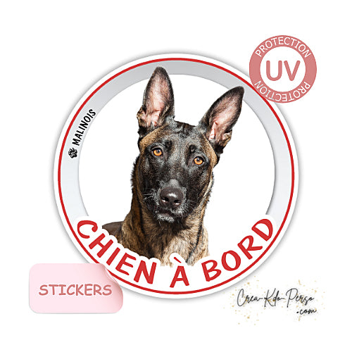 sticker chien à bord autocollant voiture malinois