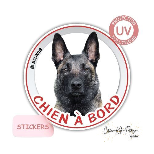 sticker chien à bord autocollant voiture malinois