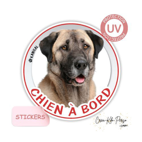 Sticker autocollant de voiture rond Chien à bord kangal Berger d'Anatolie