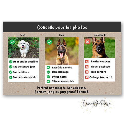 Plaque de portail Attention au chien je monte la garde personnalisée avec votre photo