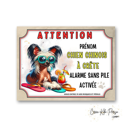 plaque attention au chien panneau de portail humour alarme sans pile