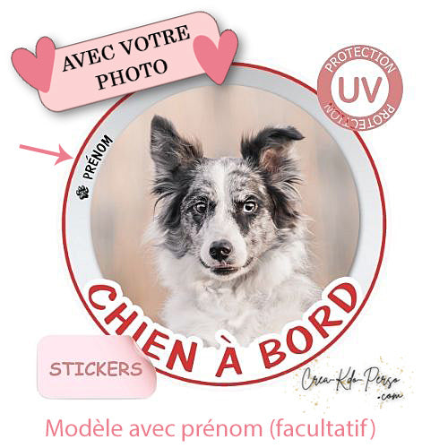 sticker chien à bord autocollant voiture personnalisé photo
