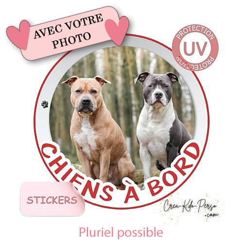 sticker chien à bord autocollant voiture personnalisé photo
