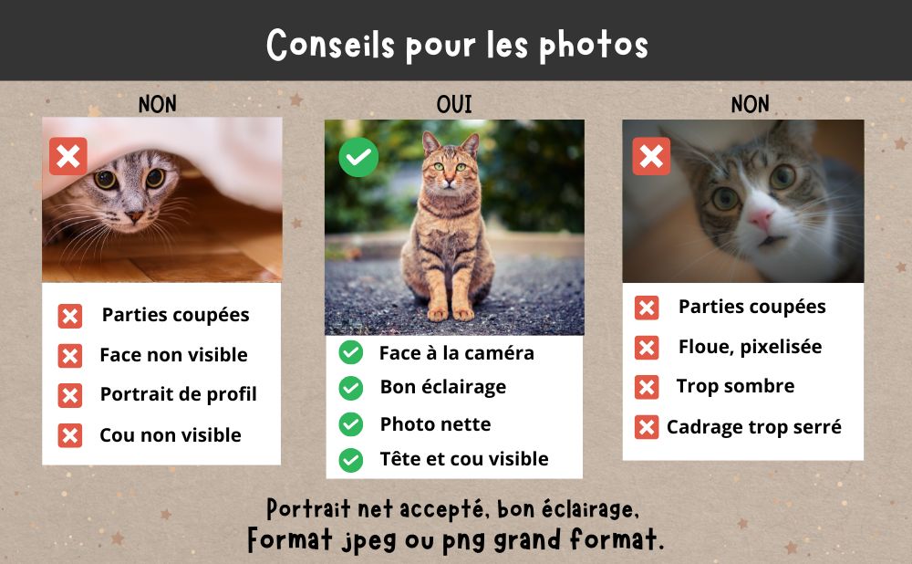 Mug chat chaton personnalisé avec photo et nom de l'animal de compagnie