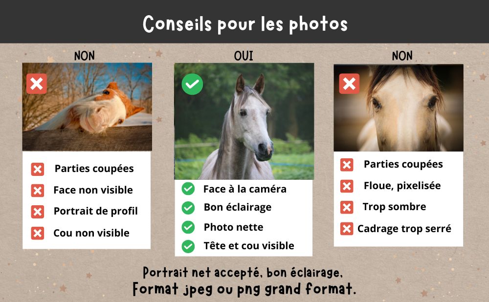 Mug cheval poney personnalisé avec photo et nom de l'animal