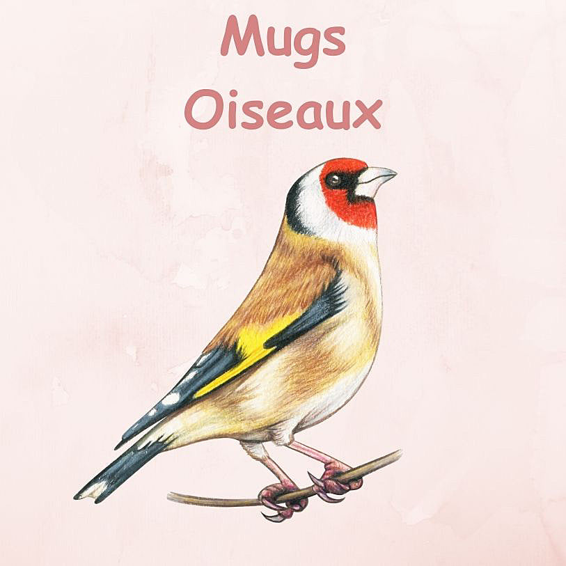 Mugs Oiseaux Ornithologie