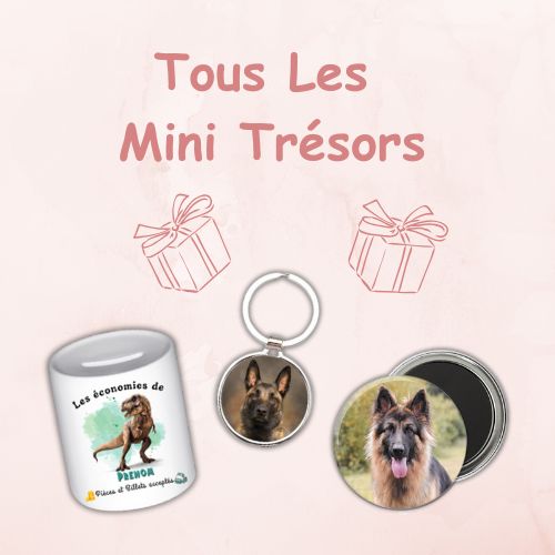 Tous Les mini Trésors