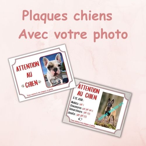 Plaques chien personnalisées avec votre photo