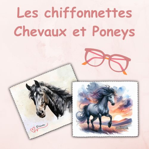 Chiffons lunettes chevaux et poneys