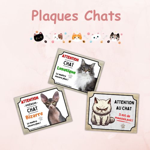 Plaques de chat