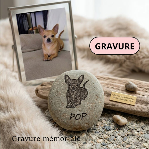 Gravure commémorative personnalisée pour votre chien