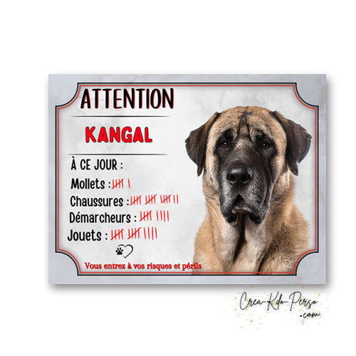 Plaque Kangal compte ses succès à ce jour Panneau de portail Attention au chien