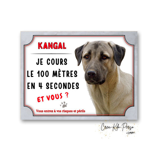 Plaque Kangal je cours le 100 mètres Panneau de portail Attention au chien