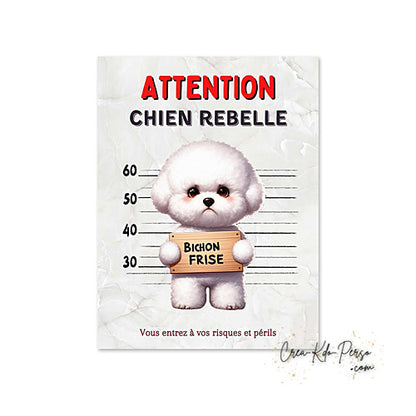 Plaque humour Attention Bichon Frisé rebelle prisonnier (Modèle1)