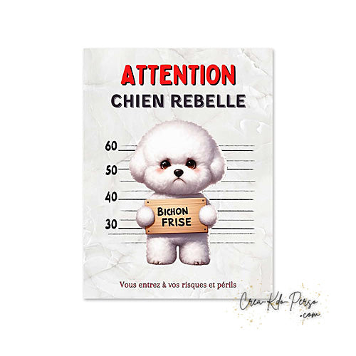 Plaque humour Attention Bichon Frisé rebelle prisonnier (Modèle1)