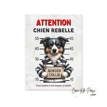 Plaque Border Collie Panneau de portail Attention au chien