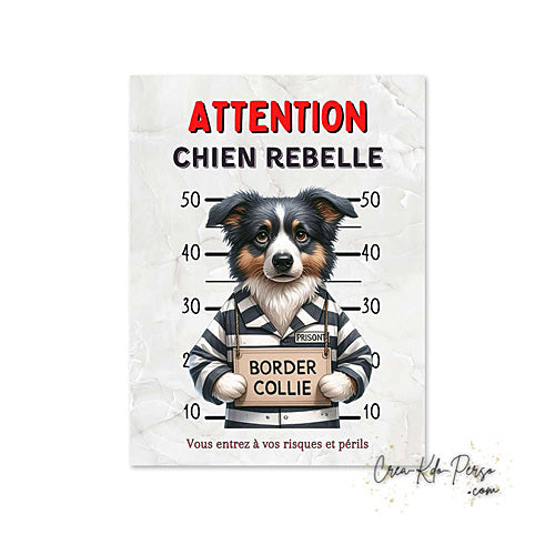 Plaque Border Collie Panneau de portail Attention au chien
