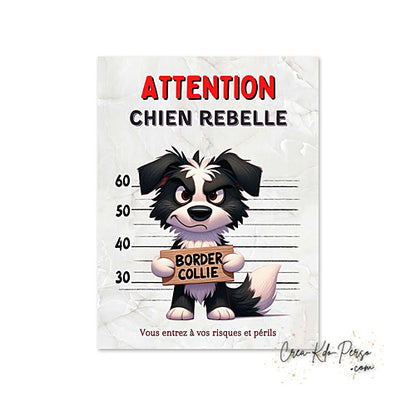 Plaque Border Collie Panneau de portail Attention au chien