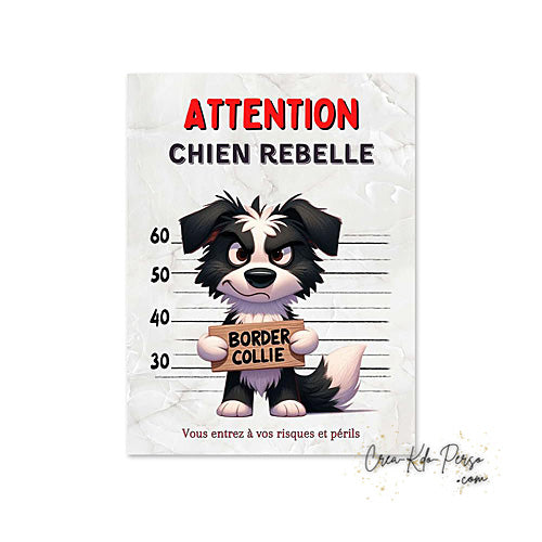Plaque Border Collie Panneau de portail Attention au chien