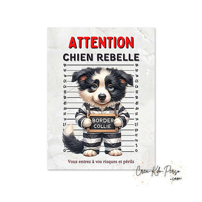 Plaque Border Collie Panneau de portail Attention au chien