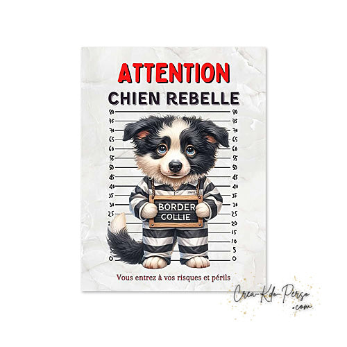 Plaque Border Collie Panneau de portail Attention au chien