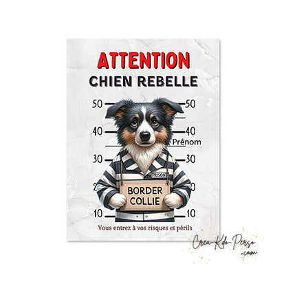 Plaque Border Collie Panneau de portail Attention au chien